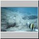 2002-04-19 L06 Snorkeling.jpg
